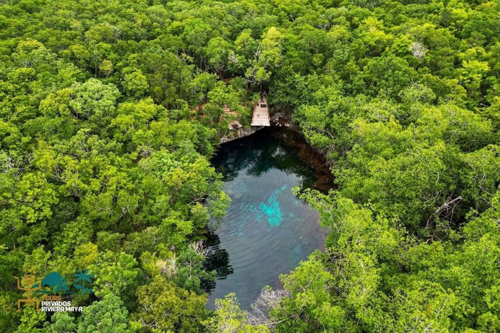 cenote-y-comida-en-tulum-riviera maya