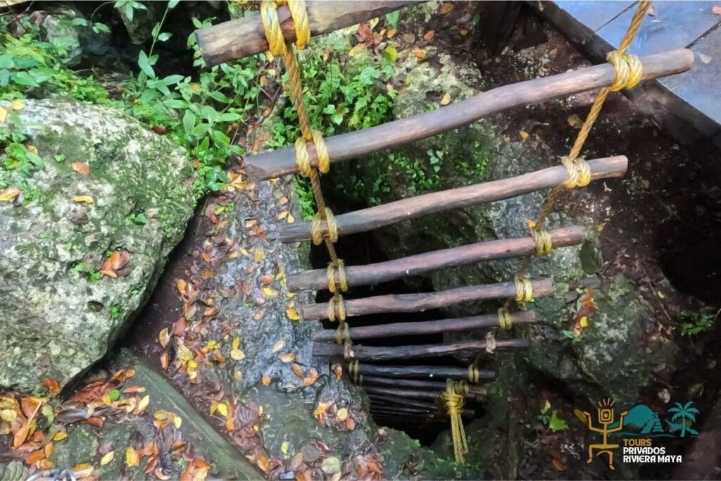 coba-y-punta-laguna-tour-privado-cenotes