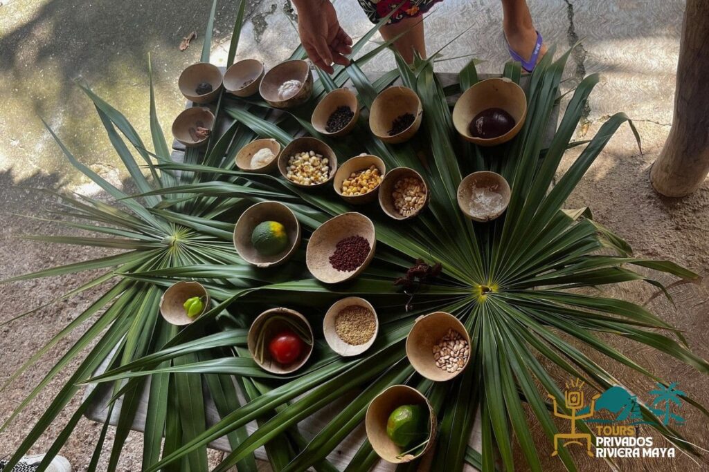 comida-maya-experiencia-culinaria