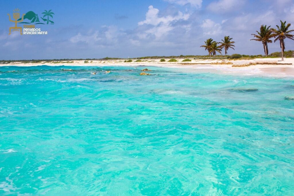 cozumel-buceo-en-mar