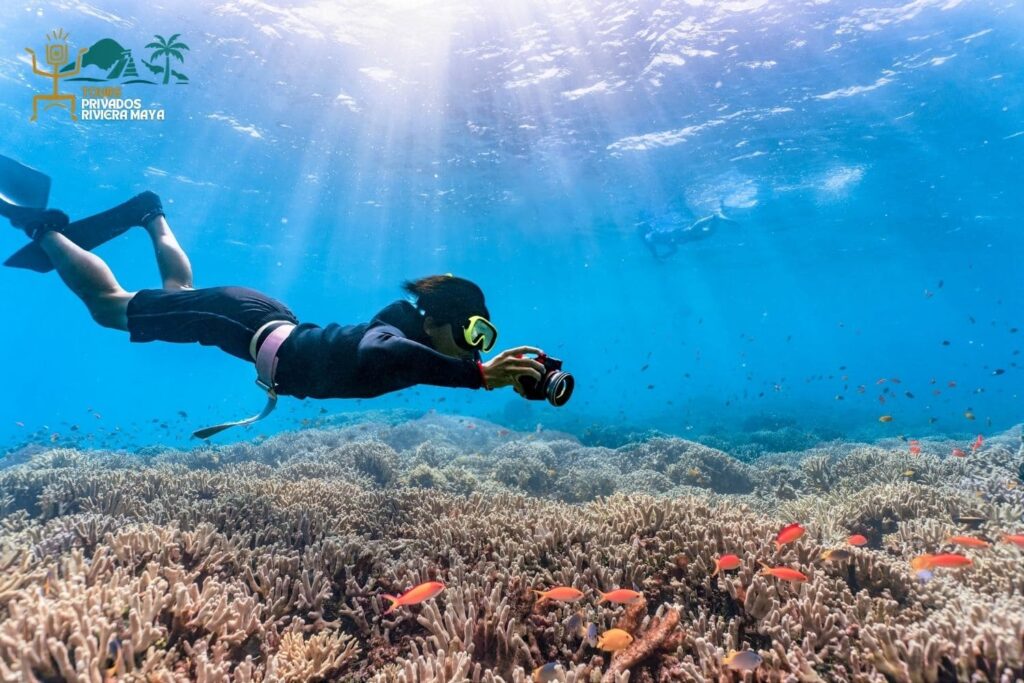 cozumel-buceo-en-mar caribe