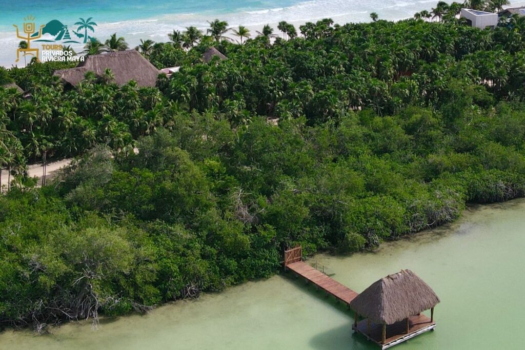 excursión-a-Sian-Ka’an-tour-privado