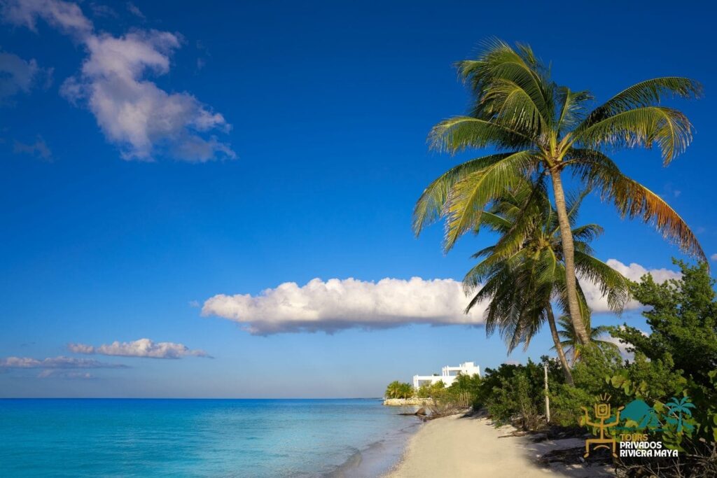 excursion-holbox-tours-privados-en-riviera-maya