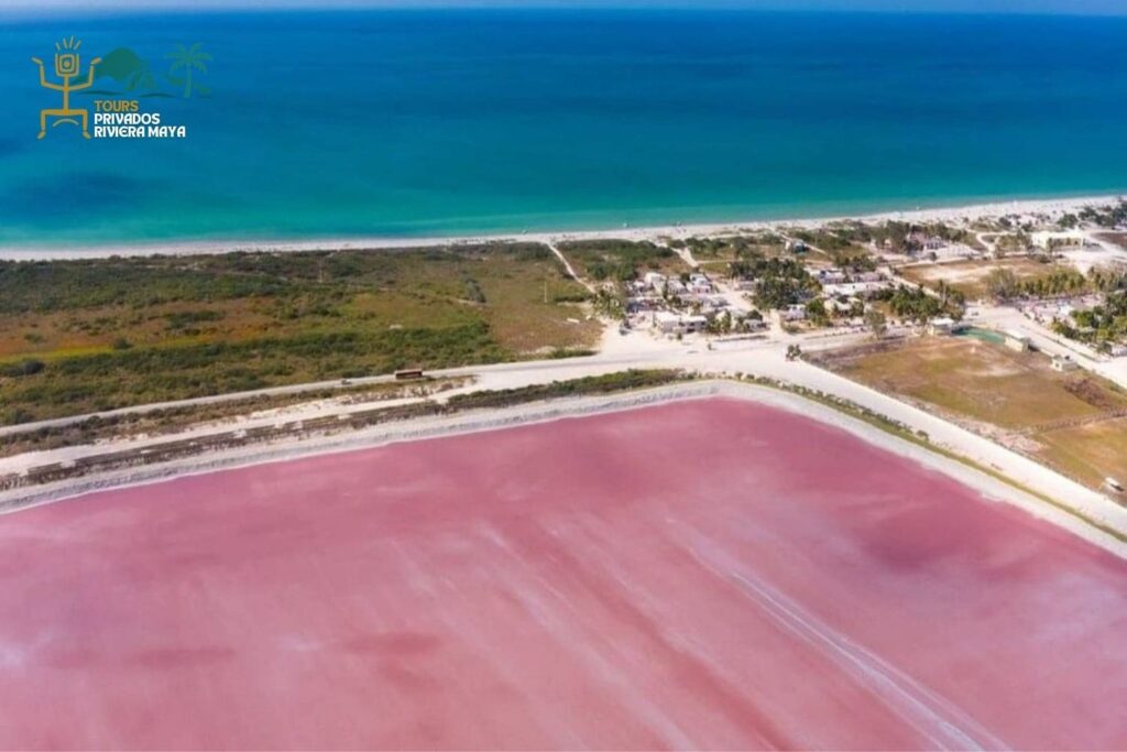 las-coloradas-y-rias-lagartos-tour-privado