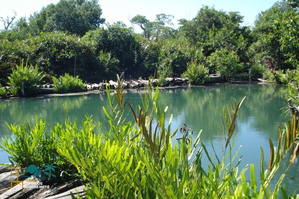rias-lagartos-reserva-de-la-bioesfera