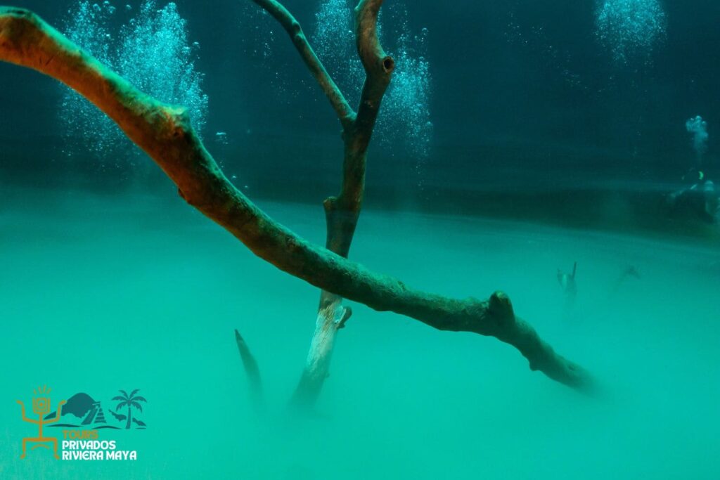 tours-privados-cenotes-tulum