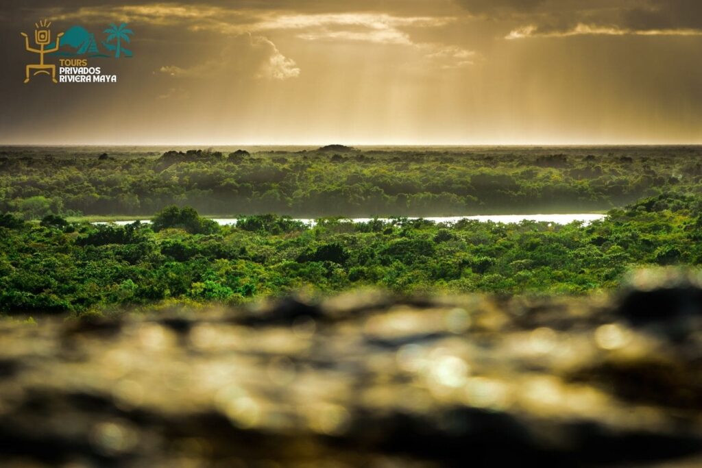 tulum-coba-cenote-tour-privado
