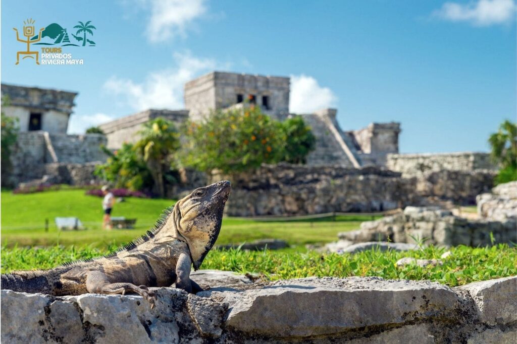 tulum-y-coba